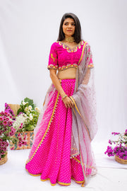 Offbeat Pink Ghaghra Set